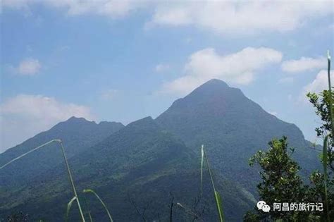 廣西十萬大山|攀登十萬大山，廣西，中國